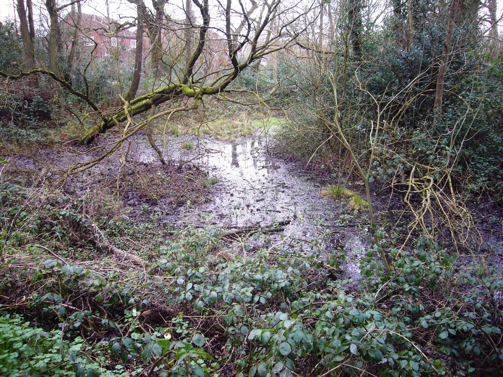 Gannow Green Moated Site
